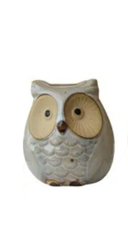 Owls - assorted AOC