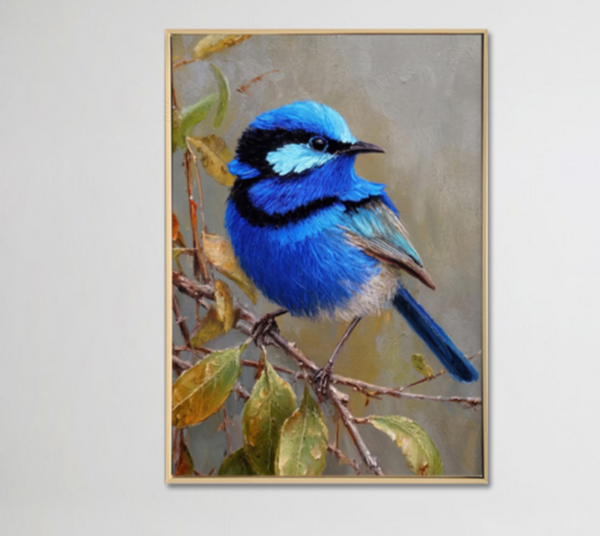 Art - Splendid Fairy Wren