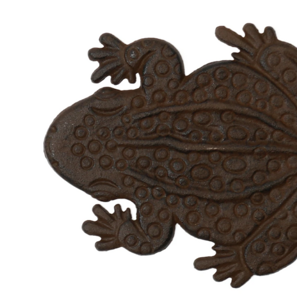 Stepping Stones - Frog SSF