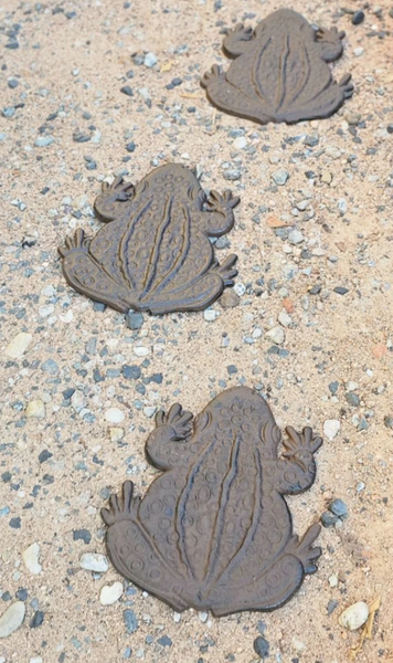Stepping Stones - Frog SSF