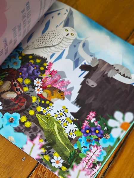 Book - Calum the Cameleon - Danni Rae BCC 💚