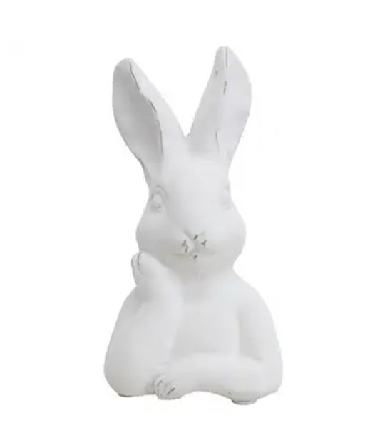 Rabbit Contemplation- Assorted RCA