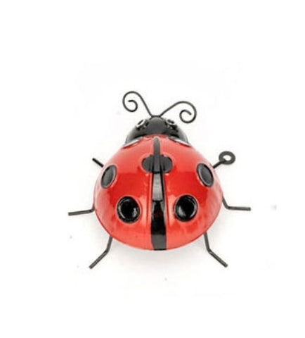 Lady Bug