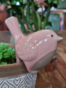 Bird Pot Sitter - assorted