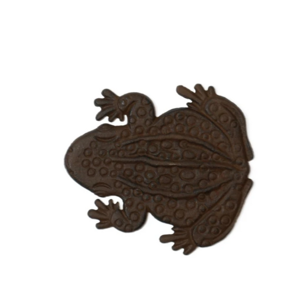 Stepping Stones - Frog SSF