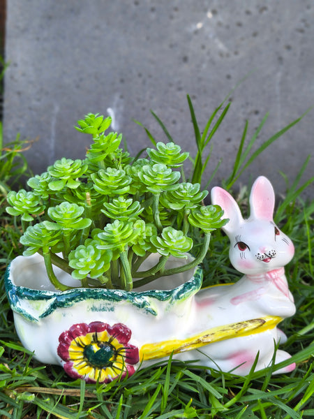Kitsch Rabbit Planter MMRP