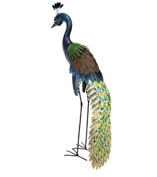Standing Peacock SPB