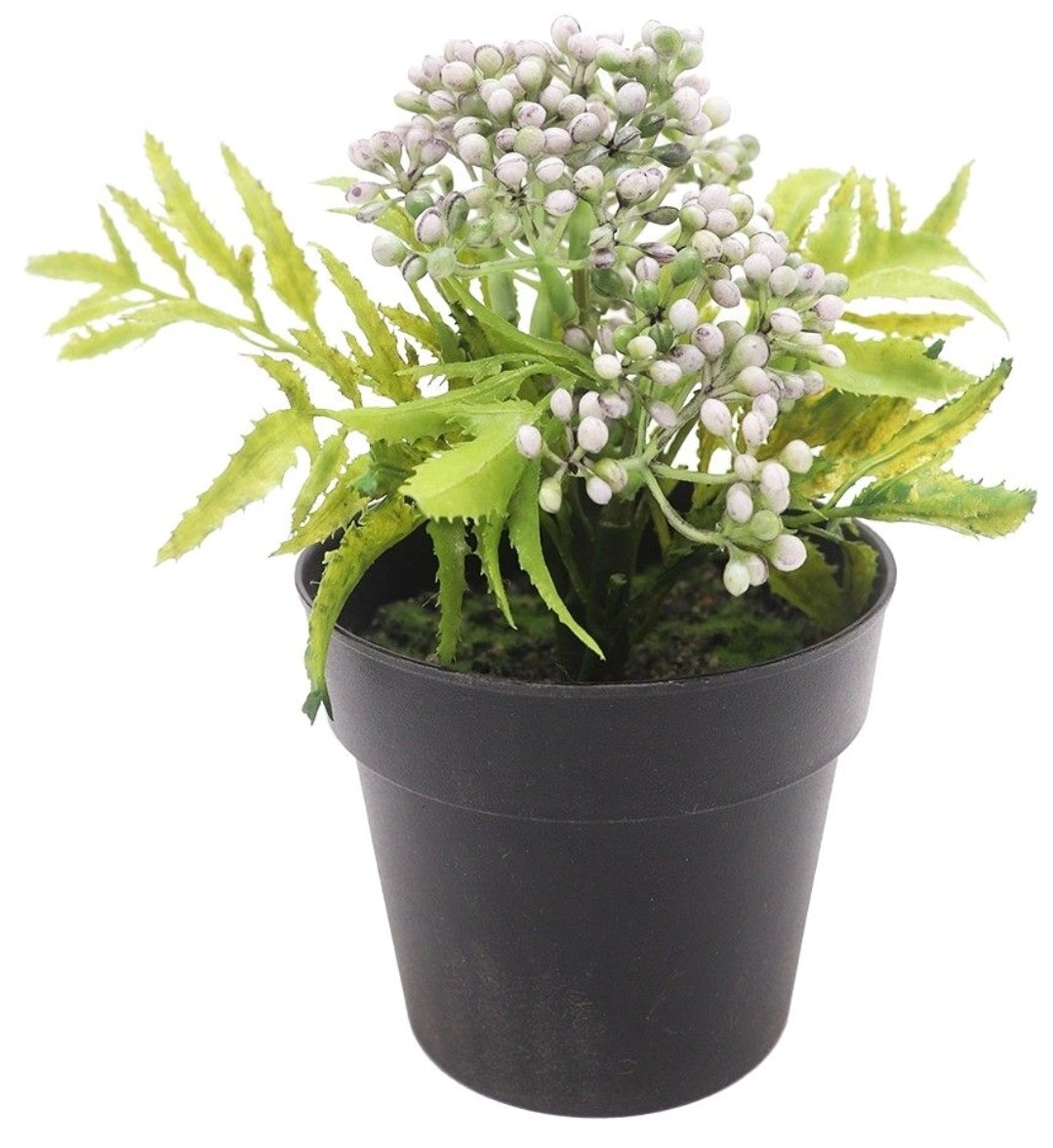 Greenery - Mini Berry GMB