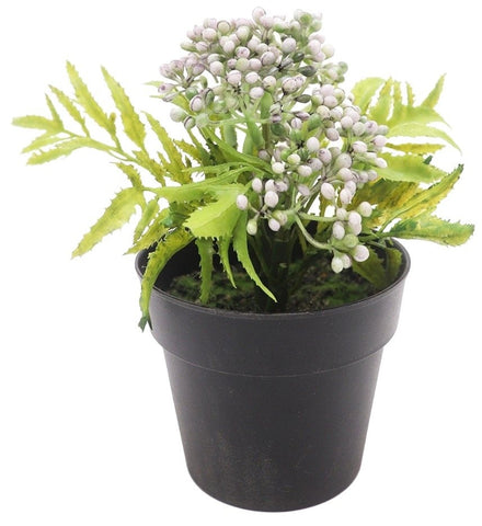 Greenery - Mini Berry GMB