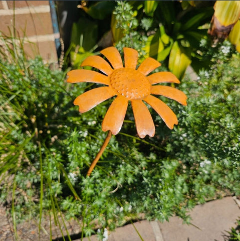 Flower Stake Rust assorted FSR