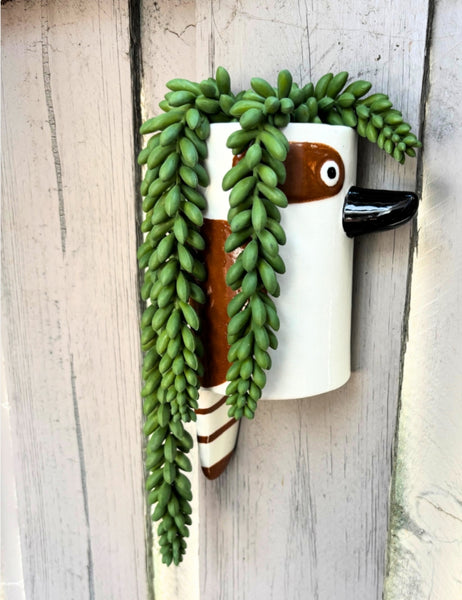 Wall Vase - Bird assorted MPWV