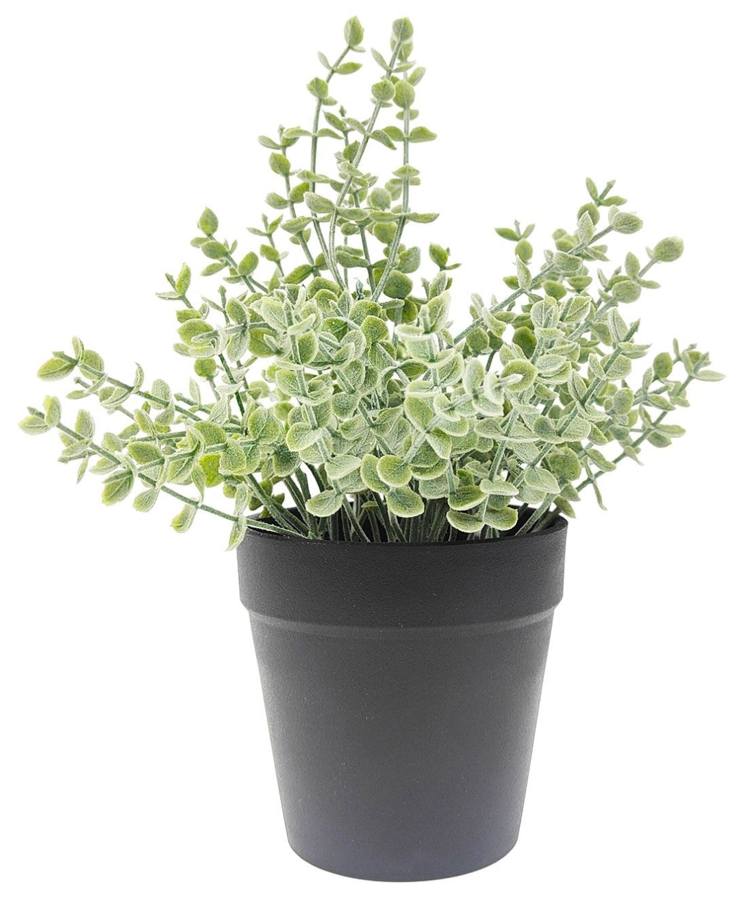 Greenery - Eucalyptus GRC
