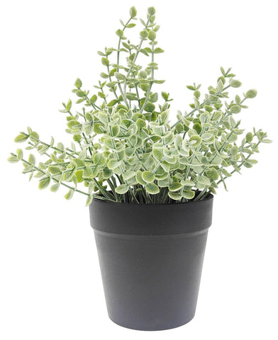 Greenery - Eucalyptus GRC
