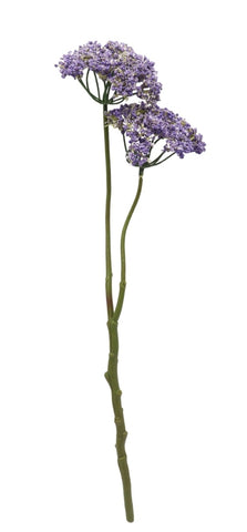 Flower - Anise Purple FAP