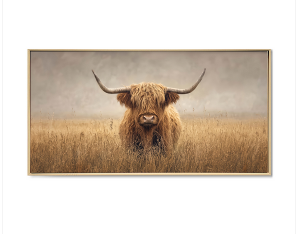 Art - Highland Cow