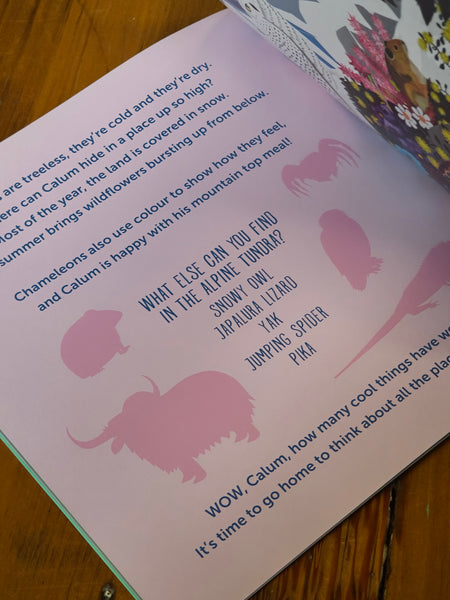 Book - Calum the Cameleon - Danni Rae BCC 💚