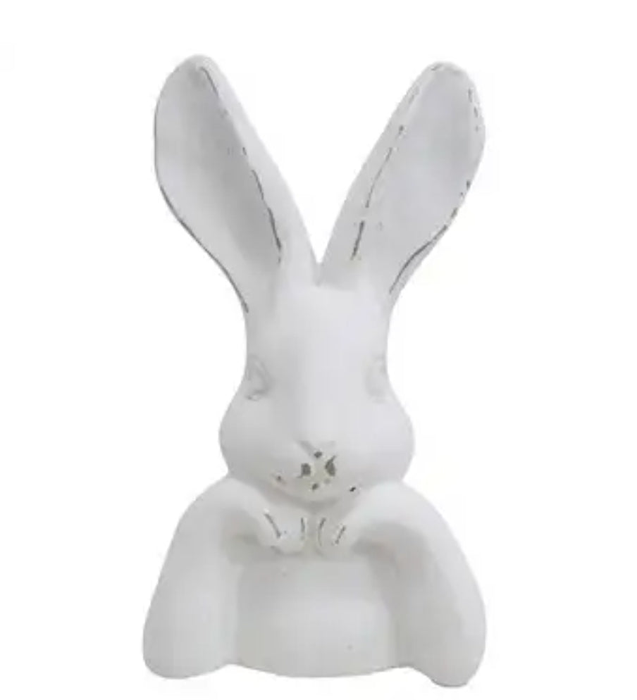 Rabbit Contemplation- Assorted RCA