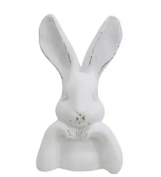 Rabbit Contemplation- Assorted RCA