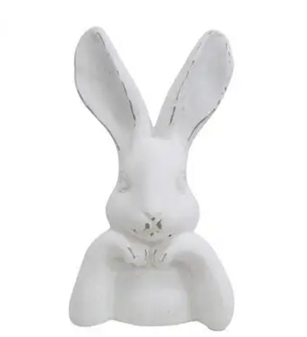 Rabbit Contemplation- Assorted RCA