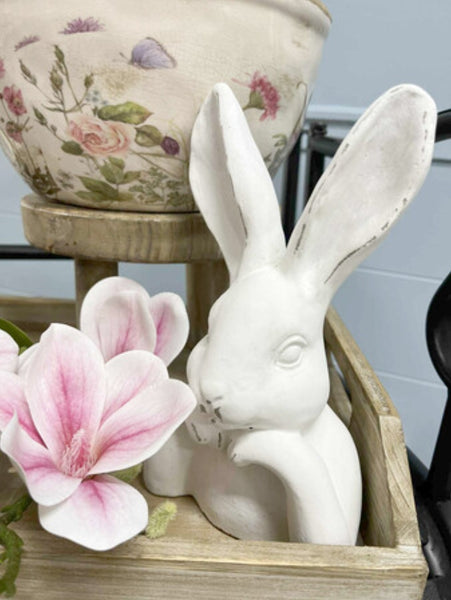 Rabbit Contemplation- Assorted RCA