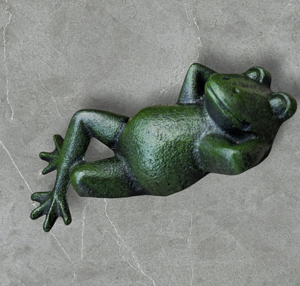 Frog - Assorted FLH