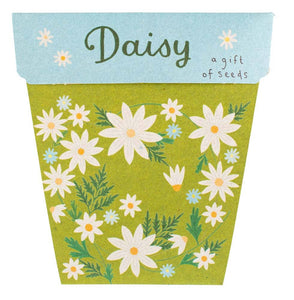 Sow'n'Sow Seeds - Daisy Gift of Seeds SNS
