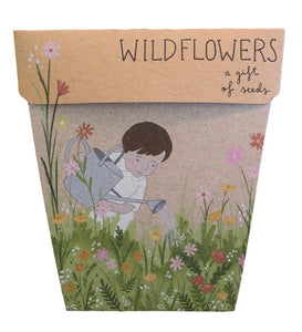 Sow 'n Sow Seeds - Wildflowers SSW 2024
