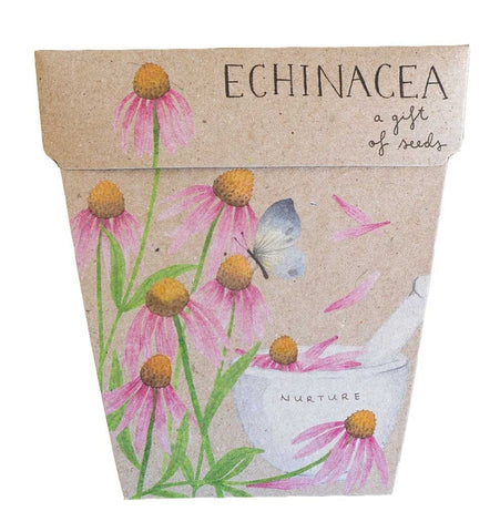 Sow 'n Sow Seeds - Echinacea SSE 2024