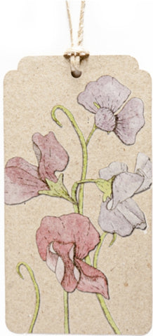 Gift Tag - Sweet Pea GTSP .