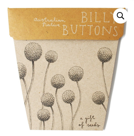 Sow 'n Sow Seeds - Billy Buttons SBB ○