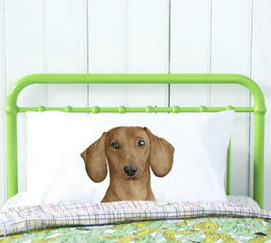 Pillow case - Duke the Dachshund PCDD +