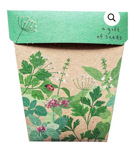 Sow 'n Sow Seeds - Native Herbs SNH 2024