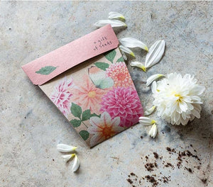 Sow 'n Sow Seeds - Dahlia SGD 2024