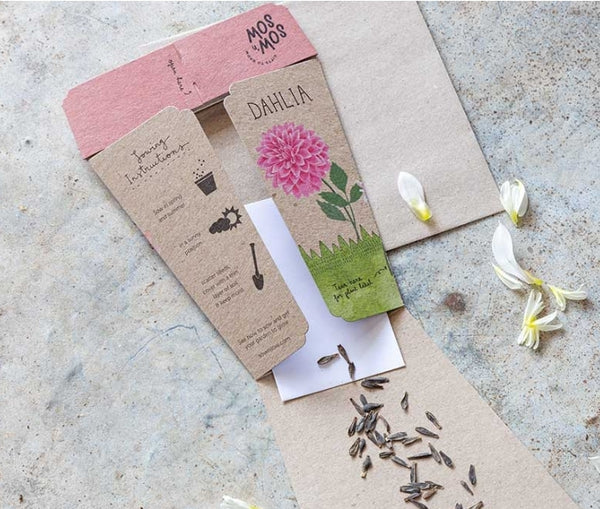 Sow 'n Sow Seeds - Dahlia SGD 2024